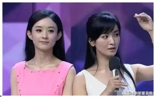 娱乐圈吃瓜大爆料马伊琍,揭秘背后的真相与争议